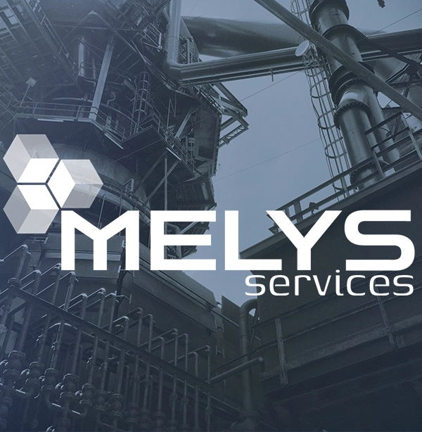 Création d'identité visuelle de Melys Services